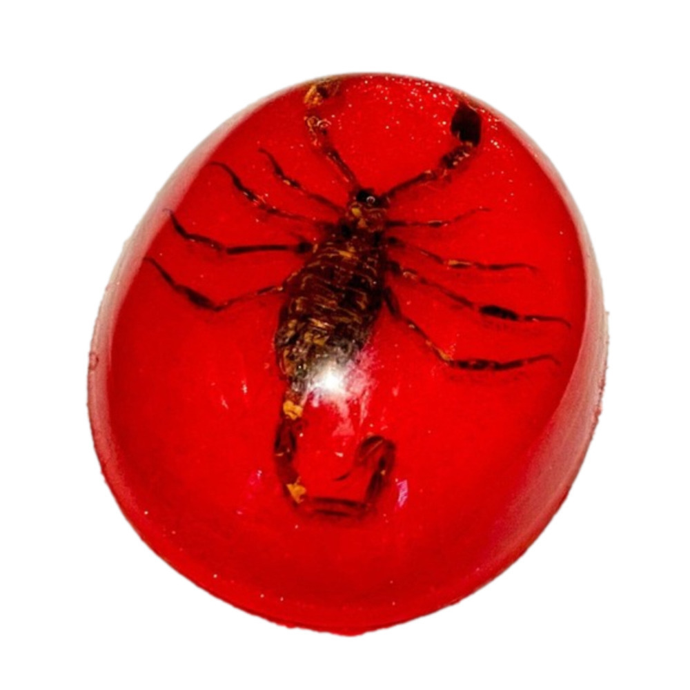Vintage '70s real scorpion paperweight oval round dome red sparkle taxidermy